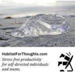 HabitatForThoughts-jellyfish (MailPoet)